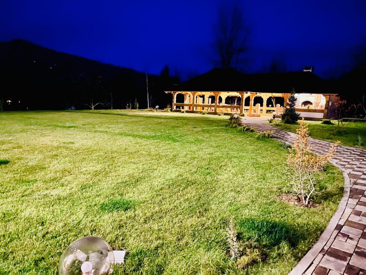 Pensiunea Coronita Vişeu de Sus エクステリア 写真